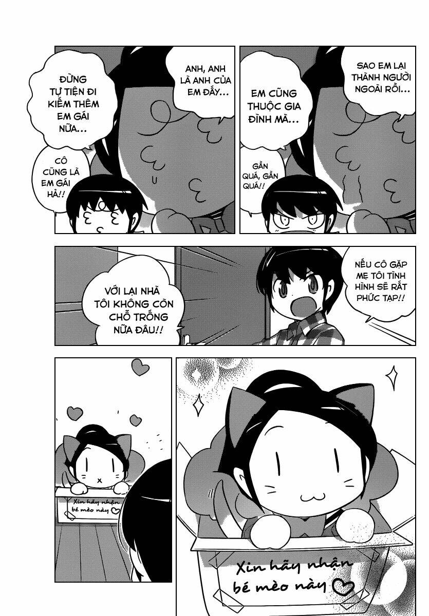 The World God Only Knows - Kami nomi zo Shiru Sekai Chapter 202 - Trang 2