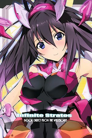 Infinite Stratos - Infinite Stratos Book Direct From The Warehouse (Artbook)